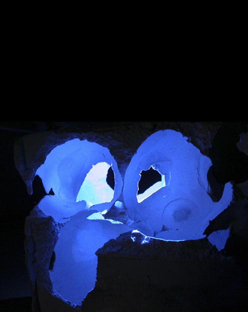 AMAA ARQUITECTOS Procesos